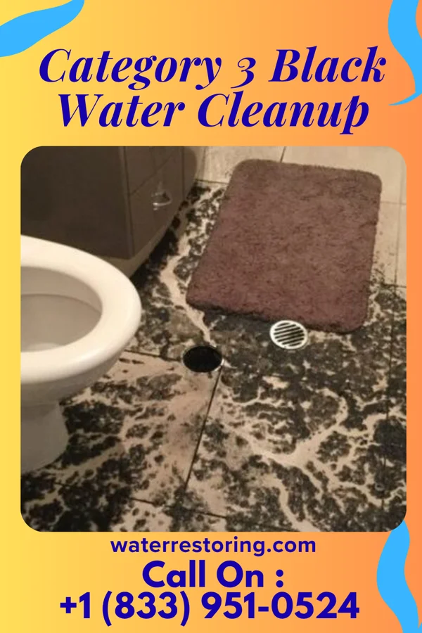 Category 3 Black Water Cleanup in Normandy Park, WA