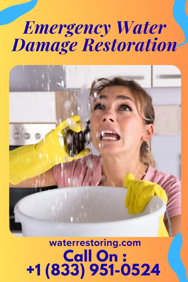 Emergency Water Damage Restoration in Normandy Park, WA